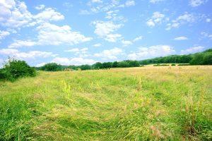 A picturesque plot of land with tall grass under a bright blue sky filled with scattered white clouds is periodically for sale with Palace Auctions London and World of Auctions. The landscape includes rolling green hills, dense trees in the background, and rustic buildings in the distance.