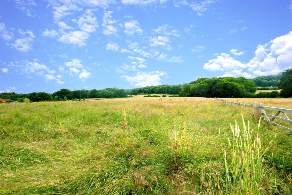 A vast meadow under a bright blue sky with scattered white clouds stretches over this picturesque plot of land Km1 underriver Sevenoaks. The field is filled with tall grass and wildflowers, bordered by a wooden fence on the right. Dense green trees and rolling hills complete the scenic landscape periodically for sale with Palace Auctions London.