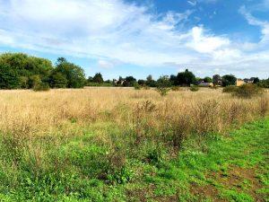 A scenic view of an open field with tall brown grasses under a partly cloudy sky at Staines. Patches of green grass in the foreground, scattered bushes and trees, and houses visible in the distance hint at future hope value for residential properties, available for sale by auction at World of Auctions.