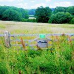 A wooden gate with a "Private Land" sign stands at the edge of a grassy field, marking a plot of land periodically for sale with Palace Auctions London. Taller grass and colorful wildflowers grow around the gate, while dense green trees populate the background under a blue sky with fluffy clouds.