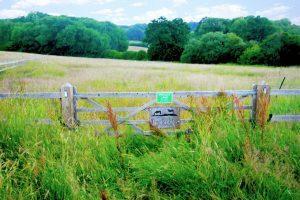 A wooden gate with a "Private Land" sign stands at the edge of a grassy field, marking a plot of land periodically for sale with Palace Auctions London. Taller grass and colorful wildflowers grow around the gate, while dense green trees populate the background under a blue sky with fluffy clouds.
