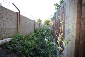 Property for sale by Auction A narrow, overgrown alley between two fences—one concrete, the other wooden planks—provides access ways to the rear of 30-37 Godalming Avenue in Wallington, Surrey. Dense vegetation fills the path and barbed wire tops the fences. The scene is lit by natural light, indicating it's daytime. Presented by World of Auctions