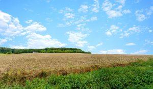 Property for sale by Auction A vast open field under a bright blue sky with scattered clouds stretches near the land off Marlow Road. The field has short green grass in the foreground, transitioning to tilled soil extending to a distant tree line on a gentle hill at Lane End. A small structure is visible near the tree line. Presented by World of Auctions