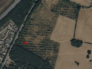 Aerial view of a landscape with patches of forest and open fields. A small, red rectangular highlight marks a specific location within the wooded area. The left side of the image shows a residential neighborhood with a network of roads and houses. Presented by World of Auctions