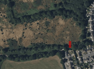 Property for sale by Auction Aerial view of a landscape with a mix of open grassy areas and dense tree cover. The bottom-right shows a residential neighborhood with houses and streets. A red rectangle highlights a specific spot within the tree-lined section. Presented by World of Auctions