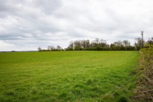 A wide expanse of green grassy field stretches into the distance under a cloudy sky. Trees line the horizon, and a cell tower is visible on the right side of the image. A hedge runs along the right edge of the field.