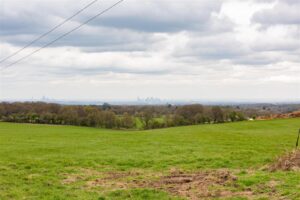 A wide view of a green, grassy field leading to a dense woodland with a distant city skyline visible under a cloudy sky. Two power lines cross diagonally in the near foreground. The horizon separates the green land from the grey, overcast sky.