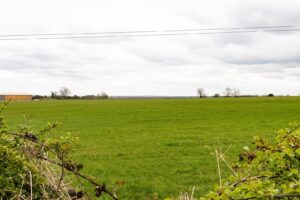 A vast green field stretches into the distance under a cloudy sky. Sparse trees are visible on the horizon, and a few bushes frame the foreground. Power lines run horizontally across the scene, dividing the sky. A building can be seen on the left side.
