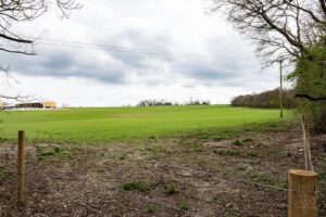 A vast, green field stretches under a cloudy sky, bordered by a wooden fence with wire. Leafless tree branches frame the image from the top left and right. A structure sits in the far left background. Trees line the horizon on the right side.