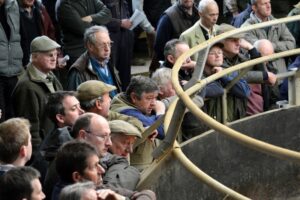 A group of men, dressed in casual and outdoor attire, including jackets and caps, gather around a railing, watching intently. They appear to be at a public event or property auction in Birmingham, perhaps seeking insights from a property investment guide as they focus on the activity inside the enclosed area.