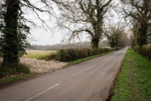 Property for sale by Auction A narrow, empty country road stretches forward, flanked by bare trees and green hedges on both sides. A field with sparse vegetation lies to the left, and the overcast sky gives a muted, serene atmosphere. Presented by World of Auctions