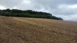 Property for sale by Auction A vast, freshly plowed field at Marlow Road lane end in High Wycombe stretches towards a distant line of dense green trees under an overcast sky, creating a contrasting blend of earthy tones and dark greenery. Presented by World of Auctions