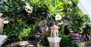 A lush garden with a large frangipani tree in full bloom, displaying white flowers, surrounds the entrance of the Grand Pacific Sovereign Resort & Spa. The entrance is marked by two ornamental pillars and the building's name sign. Green leafy plants add to the vibrant and serene ambiance.