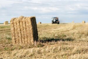 Property for sale by Auction A tractor is driving across a large, open field dotted with rectangular hay bales. In UK agricultural news September 2024, the scene showcases the importance of efficient farming practices. The foreground features a close-up of a stacked hay bale, while the background shows a cloudy sky stretching over the expansive farmland. Presented by World of Auctions