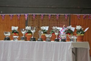 Property for sale by Auction A row of silver trophies is displayed on a white tablecloth. Each trophy is accompanied by a potted plant with white flowers. Union Jack bunting is visible in the background. Presented by World of Auctions