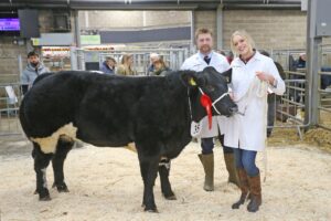 Property for sale by Auction Two people stand proudly with a black cow wearing a red ribbon and a numbered tag in a show ring. The man and woman are dressed in white coats and boots. Onlookers are seated behind metal railings in an indoor arena setting. Presented by World of Auctions