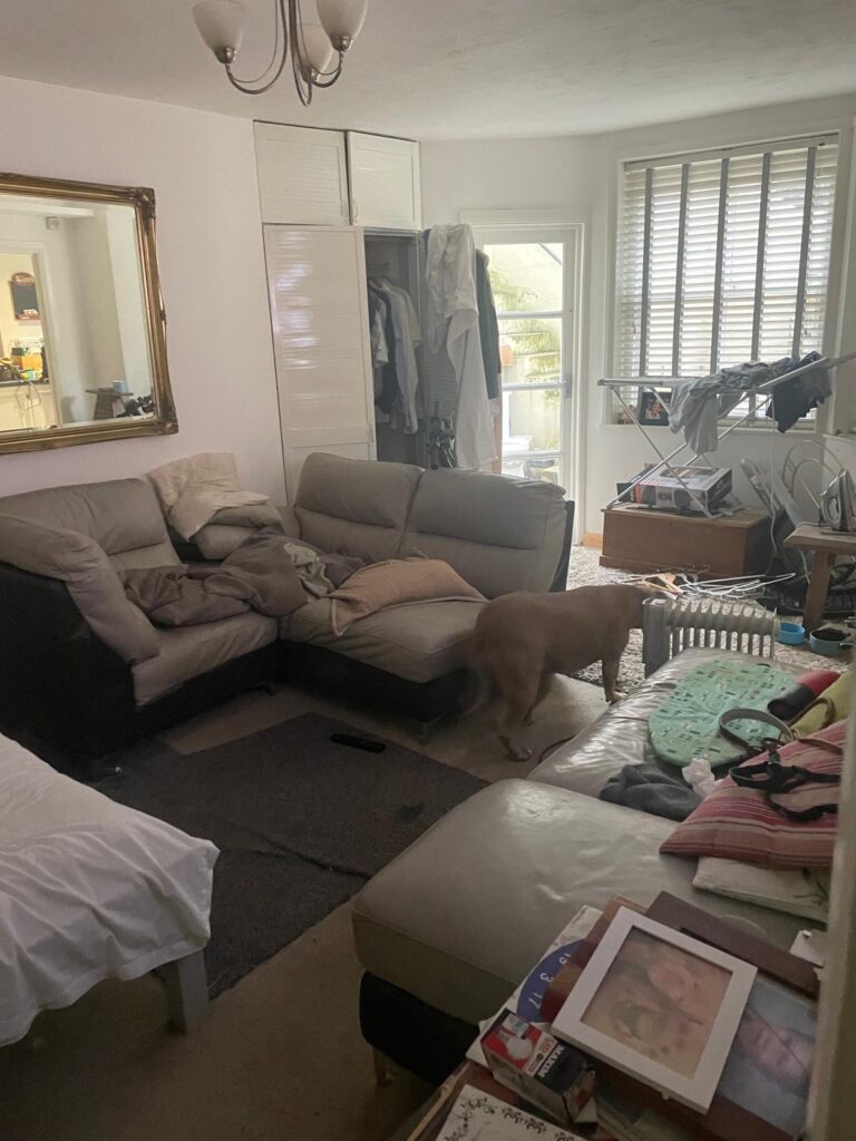 Property for sale by Auction A cluttered living room with a messy sofa, scattered cushions, and a dog in the center sets the scene. Open wardrobes reveal disarrayed clothes and items strewn around. Light filters through vertical blinds, highlighting this investment apartment in Brighton BN3 for sale by auction. Presented by World of Auctions
