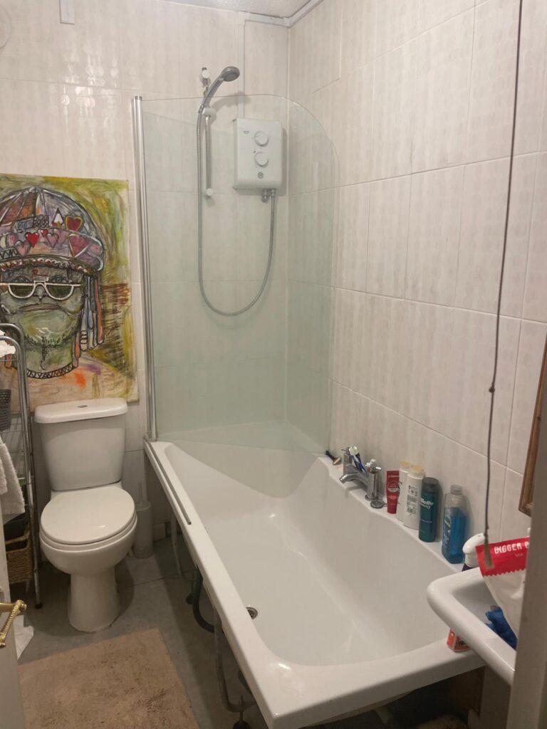 Property for sale by Auction This investment apartment in Brighton BN3, available for sale by auction, features a well-appointed bathroom with a white bathtub and shower, neatly arranged toiletries, and a striking painting of a person with a headdress resting near the toilet against pristine white tiled walls. Presented by World of Auctions